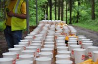 La course à Dingler 2016