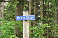 La course à Dingler 2016