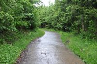La course à Dingler 2016