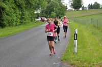 La course à Dingler 2016
